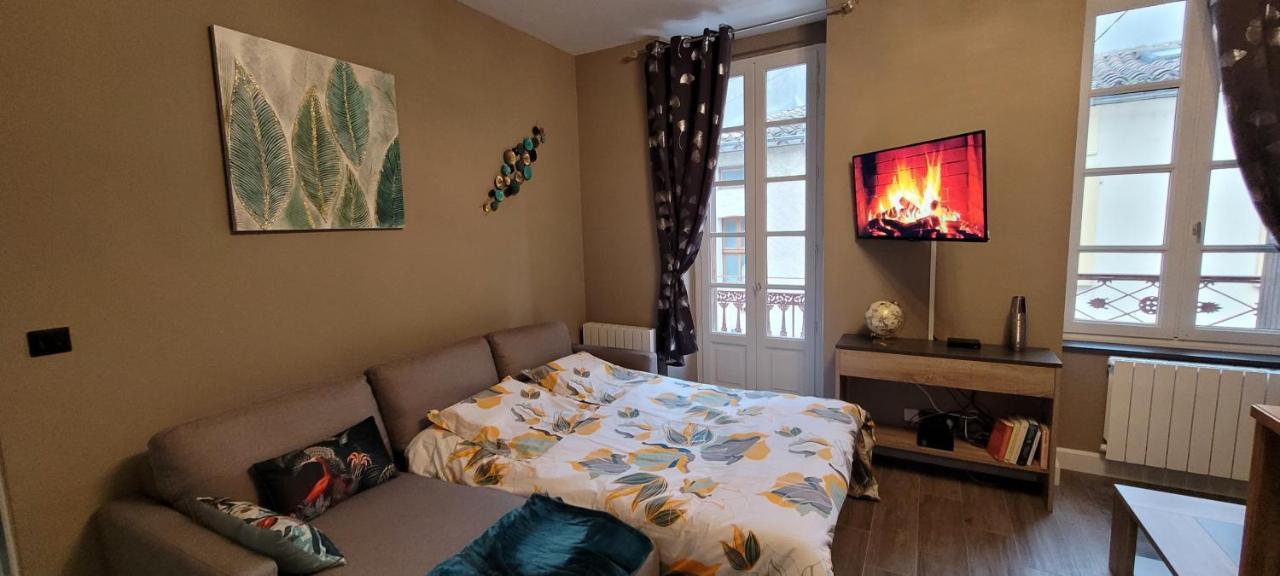 Appartement Le Moulin Vert Каркассон Экстерьер фото